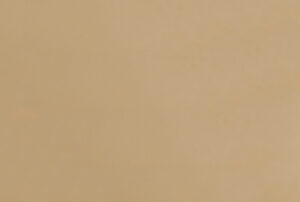 Image of Lacebackweb2