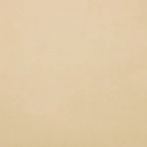 Image of Lacewebbackgroundmain1