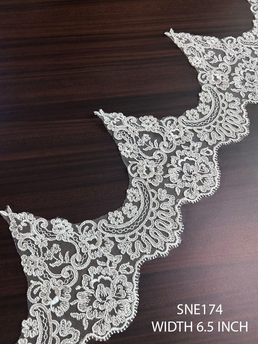 SNE174 pearl white net embroidered corded lace with floral and paisley design, 6.5 inch width